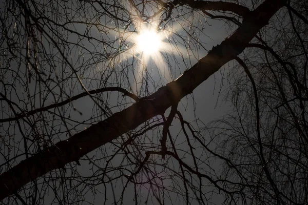 Russland Frühling Morgen Sanatorium Lunevo Foto Eines Acht Punkt Sonnenstrahls — Stockfoto