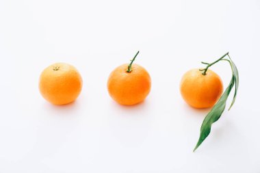 Beyaz arka planda üç taze mandalina.