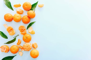 Mavi arka plan, üstten görünüm yapraklarda ile taze clementines