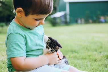 Doğada elinde kedi yavrusu olan küçük bir çocuk.