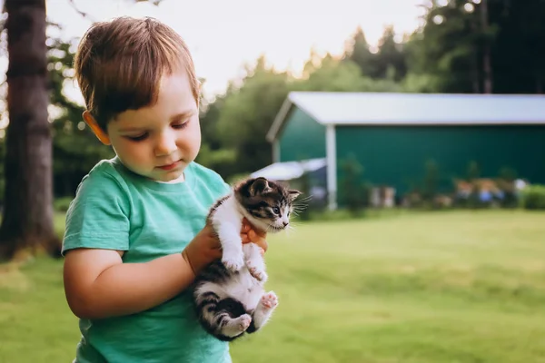 Malý Chlapec Koťátkem Náručí Přírodě — Stock fotografie