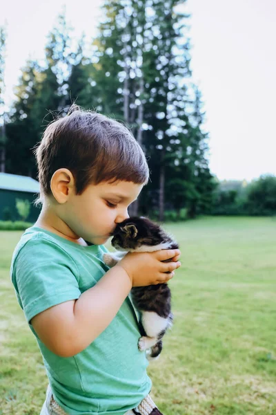 Doğasında kedi yavrusu olan mutlu bir çocuk.