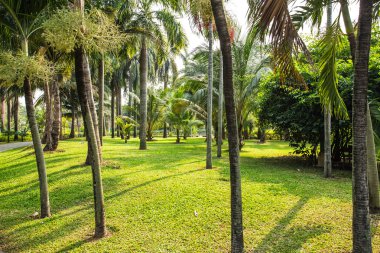 Park