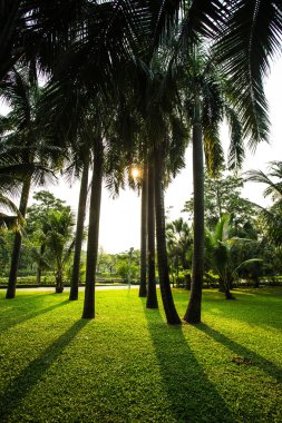 Park