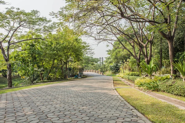 Parque — Fotografia de Stock