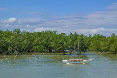 Nehirde, Filipin Adaları beyaz tekne