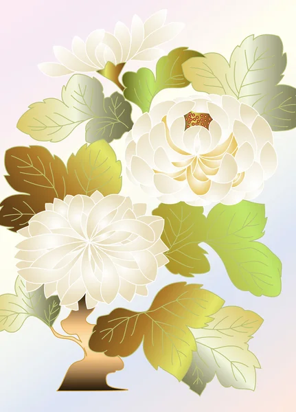 Weiße Chrysanthemen auf blassem Hintergrund — Stockvektor