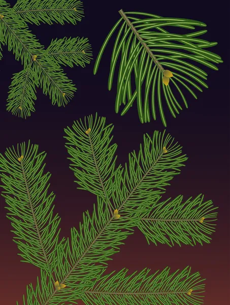 Pohon cemara Douglas Stok Ilustrasi Bebas Royalti