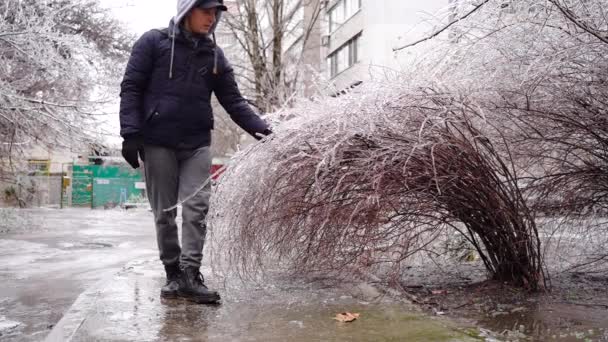 Man touching beautiful icy bush branches in ice, icing in winter — Stock videók