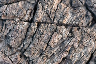 Arkaplan yüzeyi çatlaklı eski siyah ahşap, seçici odaklı