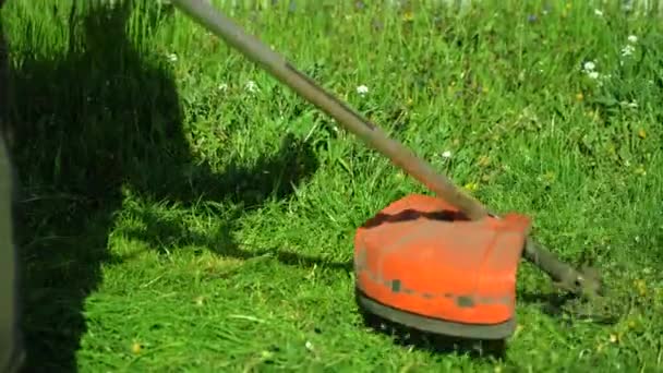 Man mows green tall grass with a manual lawn mower makes beautiful lawn — Stock video