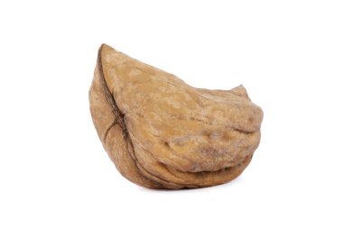 Çirkin ceviz beyaz arka planda izole edilir. Farklı açılar