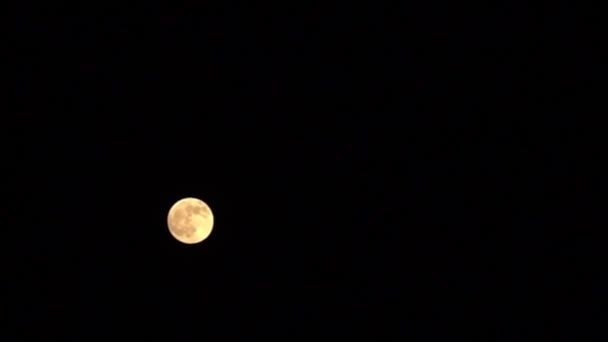 Time-lapse moon moves in a black sky and hides behind clouds — Vídeo de Stock