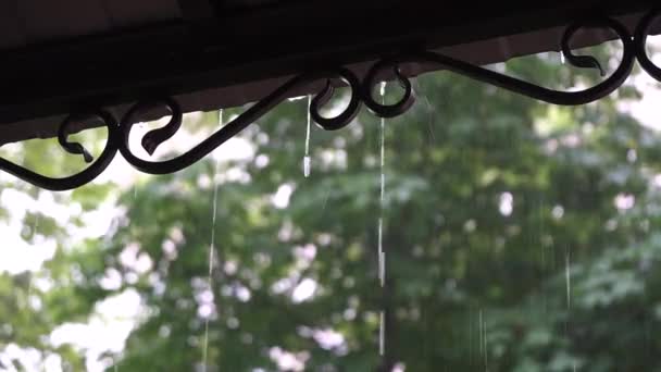 Esőcseppek lecsapolása fémből kovácsolt lombkorona heves esőben — Stock videók