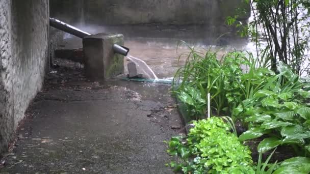 Вода тече через дренажну трубу під сильним дощем — стокове відео