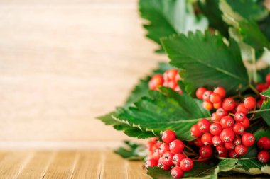 Kırmızı böğürtlen ve yeşil yapraklar. Boşluğu kopyala. 