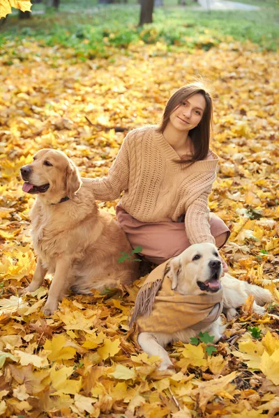 Bella ragazza con due golden retriever nel parco Fotografia Stock