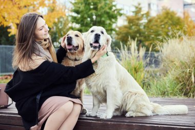 Güzel kız iki Golden Retriever 'a sarılıyor. Açık hava.