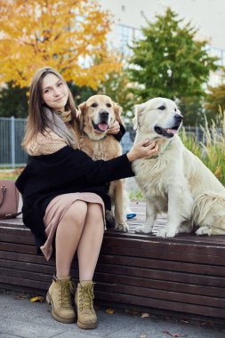 Güzel kız iki Golden Retriever 'a sarılıyor. Açık hava.