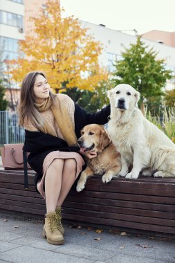 Güzel kız iki Golden Retriever 'a sarılıyor. Açık hava.