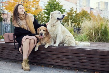 Güzel kız iki Golden Retriever 'a sarılıyor. Açık hava.
