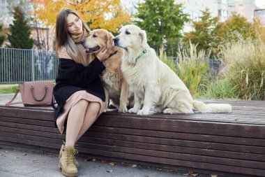 Güzel kız iki Golden Retriever 'a sarılıyor. Açık hava.