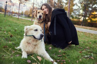 Parkta iki Golden Retriever 'ı olan güzel kız