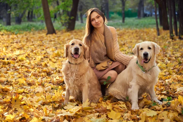 Gadis cantik dengan dua anjing golden retriever di taman — Stok Foto
