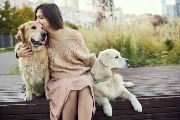 Mooi meisje knuffelt twee golden retrievers. Buiten — Stockfoto