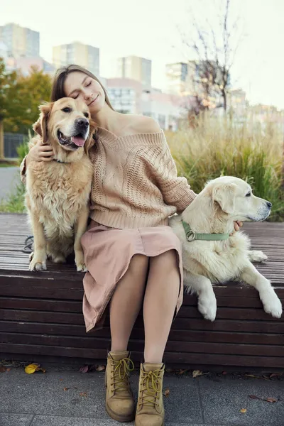 Güzel kız iki Golden Retriever 'a sarılıyor. Açık hava.