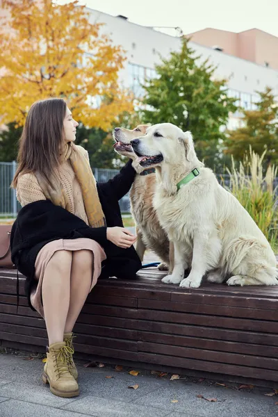 Güzel kız iki Golden Retriever 'a sarılıyor. Açık hava.