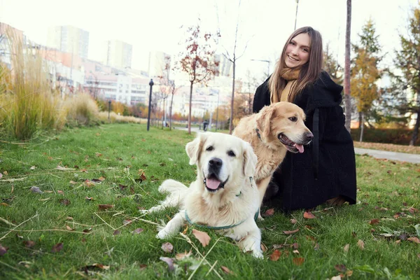 Parkta iki Golden Retriever 'ı olan güzel kız