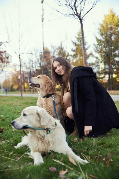 Όμορφη κοπέλα με δύο γκόλντεν ριτρίβερ στο πάρκο — Φωτογραφία Αρχείου