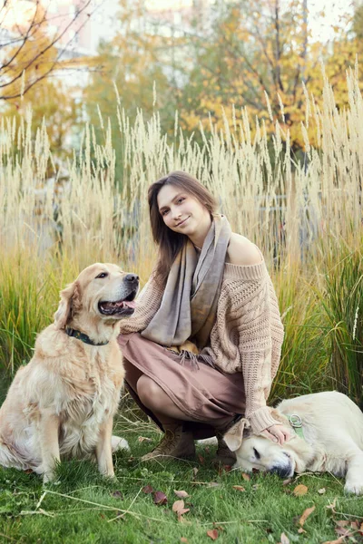 Bella ragazza con due golden retriever nel parco Immagine Stock