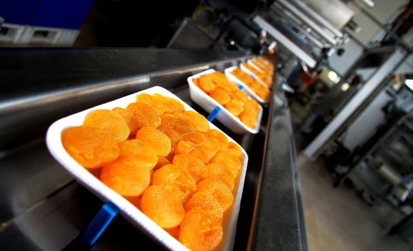 Gedroogde abrikoos fabriek — Stockfoto