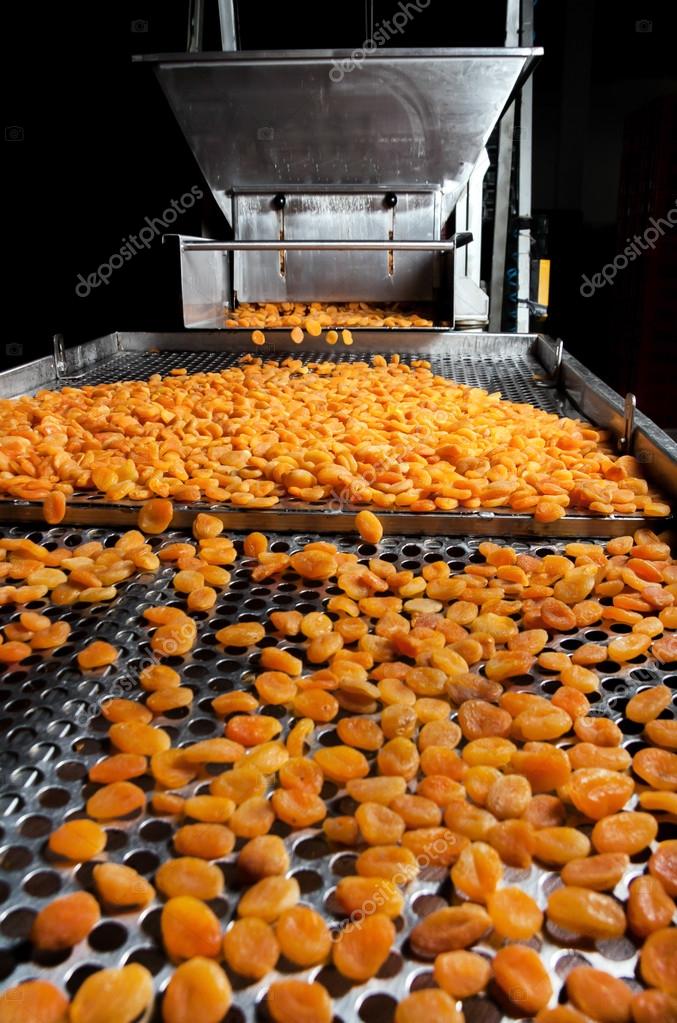 Dried Apricot Factory Stock Photo by ©mehmetdinler 37386831