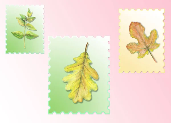 Fond Décoratif Avec Des Feuilles Colorées Sur Les Cartes Postales — Photo