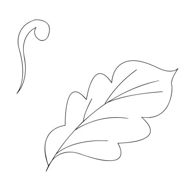 Beyaz arka planda yakın plan kıvrımlı desenler. Vektör grafiklerinin parçaları. Mücevher ve kusursuz tasarımlar yapmak için malzeme.