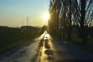 yol
