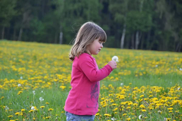 Baby girl — Stock Photo, Image