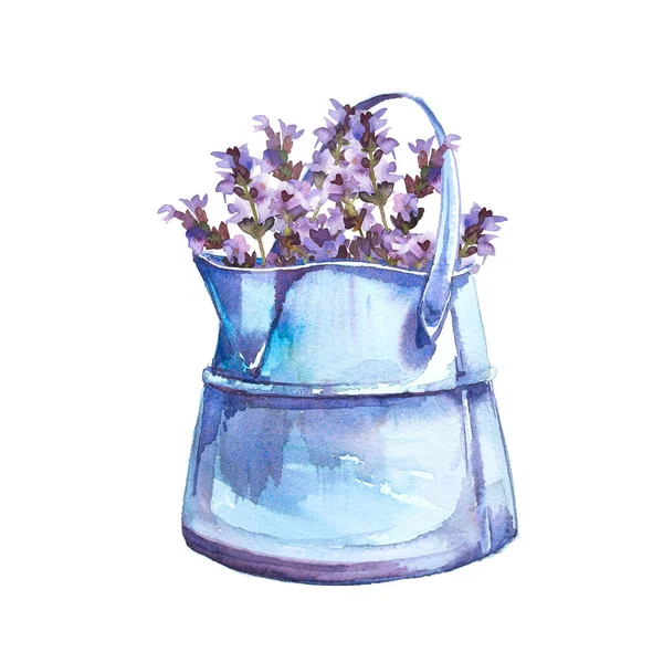Watercolor hand painted vintage lavender flowers in a watering can illustration. Beautiful spring concept banner.Nature themed ready to use design.Vintage rustic card. Provence clipart.Violet flowers.