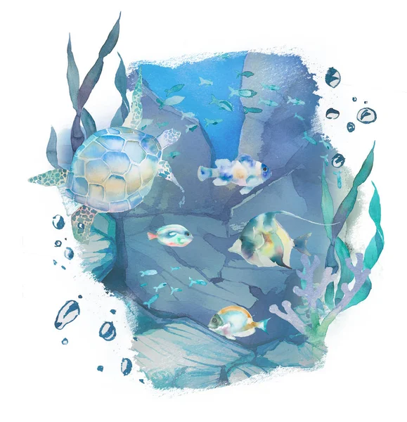 Ilustração Mundo Subaquático Algas Aquáticas Conchas Peixes Tartaruga Fundo Projeto — Fotografia de Stock