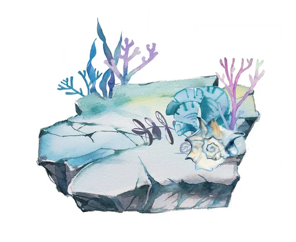 Underwater world illustration. Watercolor seaweed,seashells on the bottom of the sea design. Ocean condept clipart isolated on a white background.