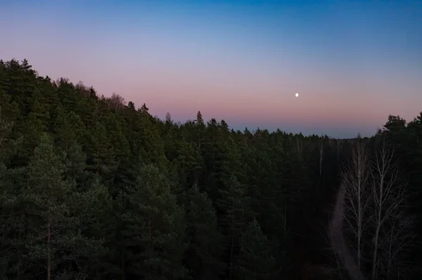 stock image Bird's-eye view of a scenic sunset over the forest hills, with toned dramatic colors