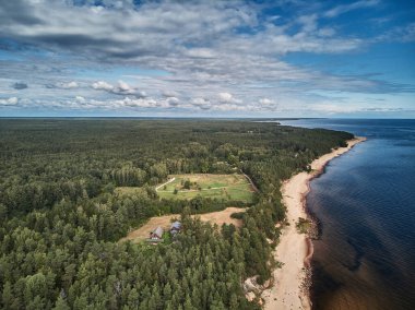 Mavi gökyüzü, yeşil orman ve Baltık Denizi 'nin kumlu plajı