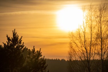 Doğal ağaç ormanı dağları ufuk manzarası duvar kağıtları gündoğumu ve günbatımı arka plan