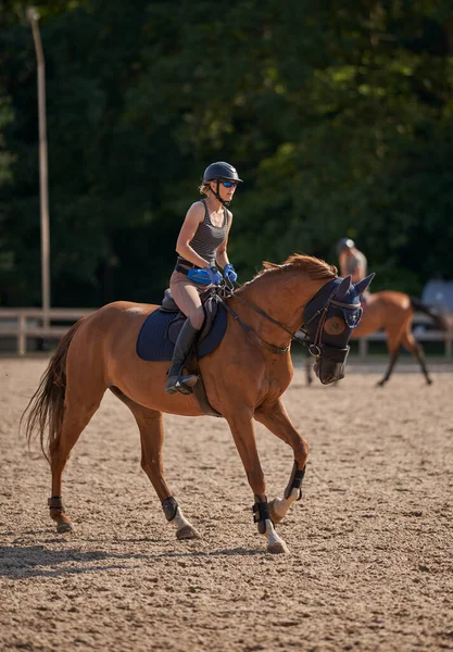 Kaukasische Frau Und Pferd Beim Training Während Des Sonnenuntergangs — Stockfoto