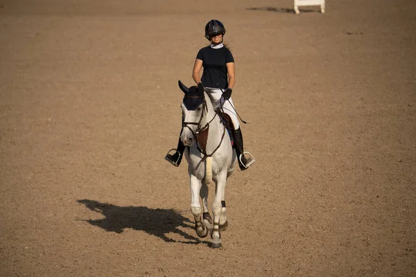 Junges Hübsches Mädchen Reiten Auf Einem Pferd Mit Hinterleuchteten Blättern — Stockfoto