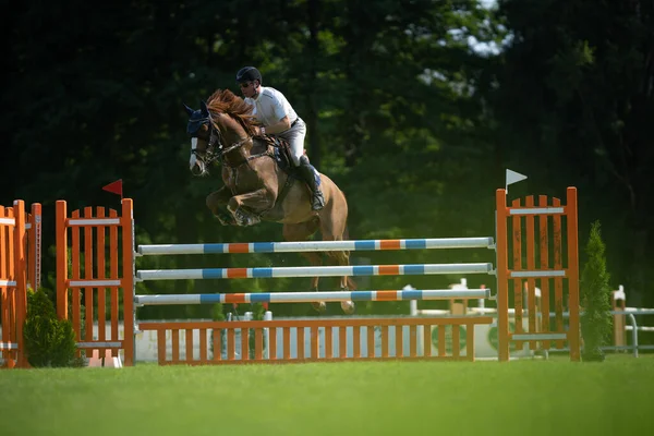 Show Jumping Close Image Male Horse Rider Jumping Hurdle Competition —  Fotos de Stock