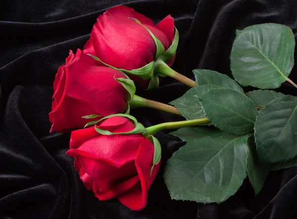 Hermosa Rosa Roja Sobre Satén Negro Como Fondo —  Fotos de Stock